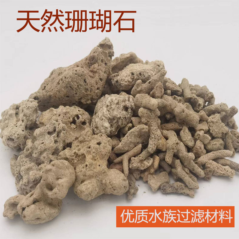 珊瑚骨滤材鱼缸过滤材料鱼池珊瑚石底砂水族箱造景沙稳定净化水质
