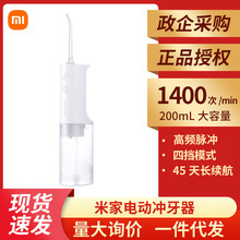 小米（MI）米家立式电动冲牙器洗牙器 高频脉冲水流 4档模式 4种