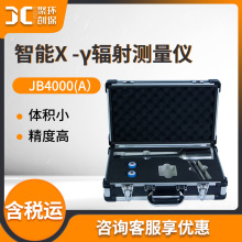 智能X-γ辐射测量仪 JB4000(A型)х-γ射线辐射剂量率监测 辐射仪