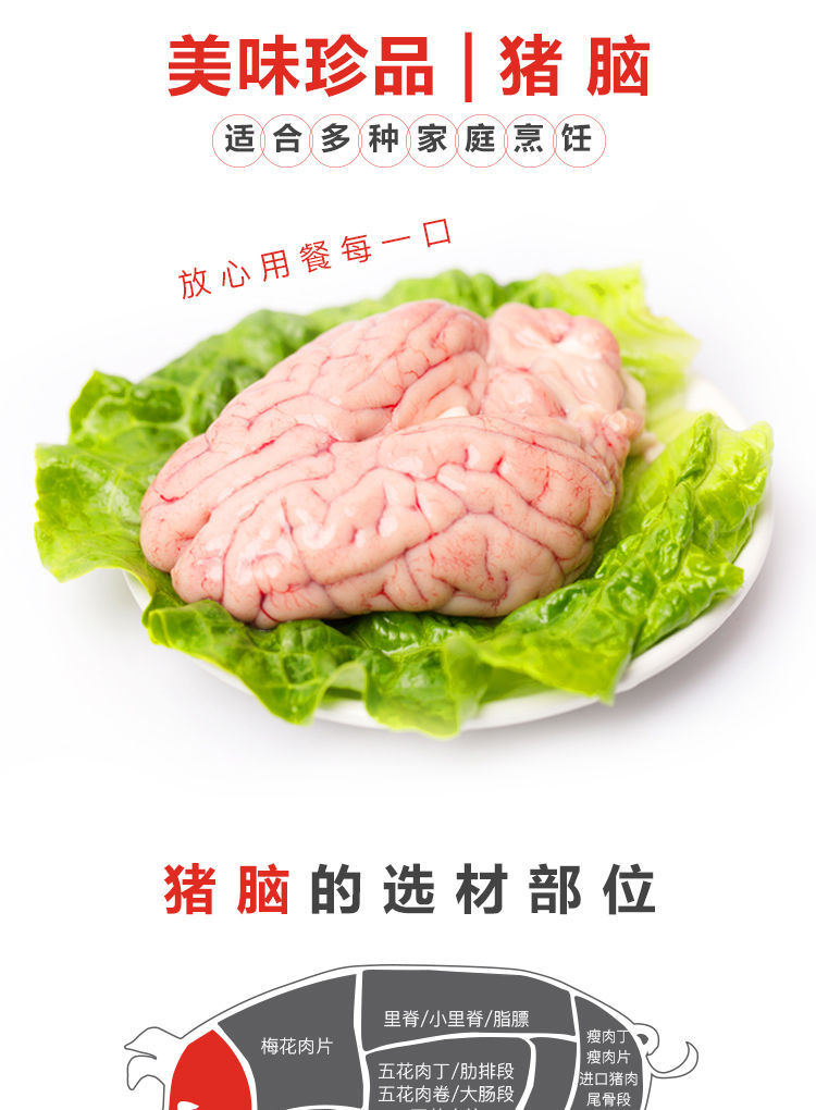 猪脑新鲜猪脑花鲜冻8 幅左右脑加小脑生商用火锅熟食烧烤冷冻包邮