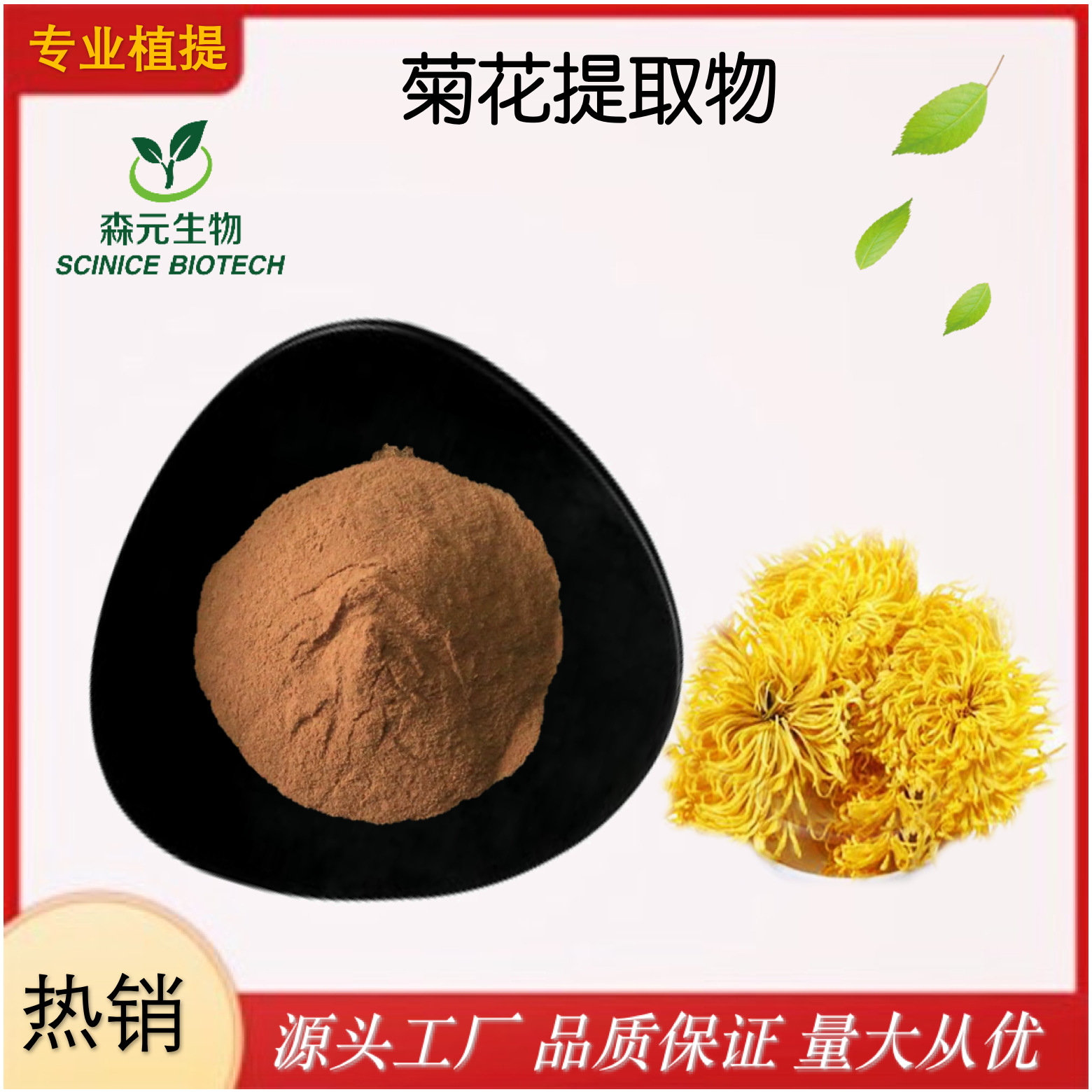 菊花提取物菊花茶速溶粉菊花多糖30萃取粉固体饮料现货