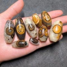 阿拉善玛瑙 筋脉玛瑙 龟背经脉石 地表老货 龟背筋脉 绝品_阿里巴巴找