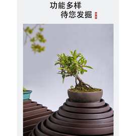 托盘紫砂水培陶瓷花盘浅盆长方形盆景假山盆花盆托