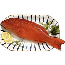 多种鱼套餐东星斑鱼斑鱼海捕石斑鱼老虎斑活鱼海鲜龙胆黄花鱼鲳鱼