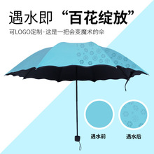 遇水开花折叠伞黑胶遮阳防晒太阳伞三折晴雨伞礼品广告伞印logo字