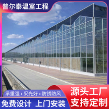 厂家生产玻璃温室大棚智能玻璃温室大棚生态观光玻璃温室大棚