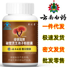 【1件代发】云南白药破壁灵芝孢子粉胶囊60粒 提高免疫力 批发
