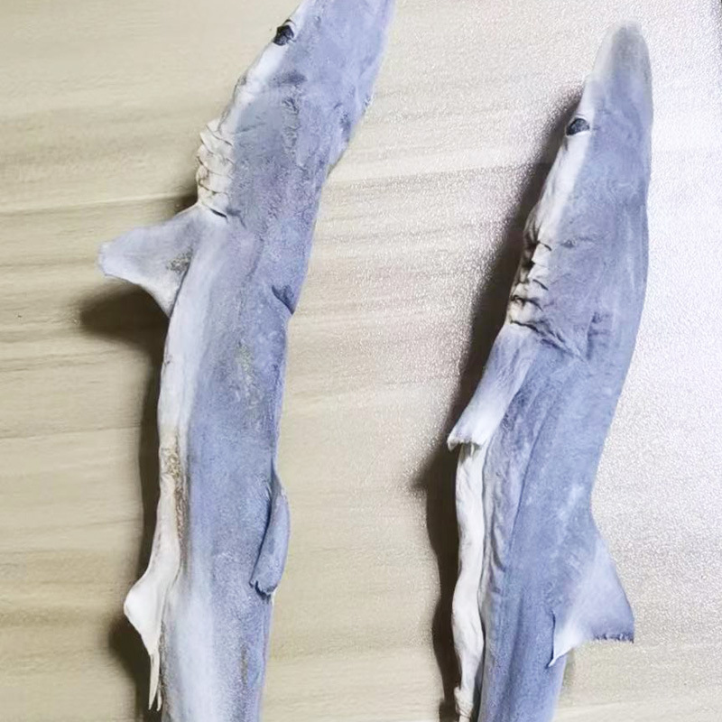 冻干小鲨鱼肉干鲨鱼软骨猫零食狗磨牙棒鲨鱼皮整支批发宠物店拿货