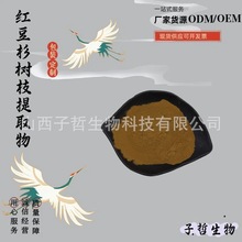 红豆杉提取物6：1  多烯紫杉醇 子哲生物厂家直发 包邮