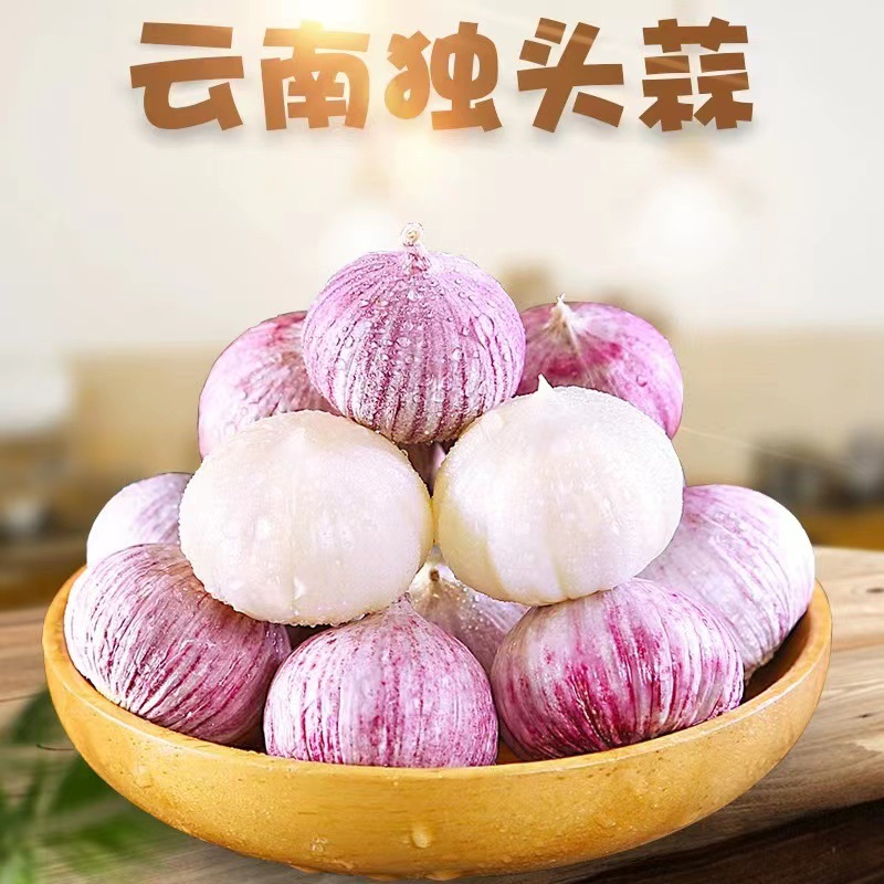 代发供应 云南独头蒜4斤 农家新鲜蔬菜新独大鲜蒜