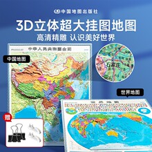 时光学精雕版中国地图+世界立体地图3d立体凹凸竖版墙贴地形图JST