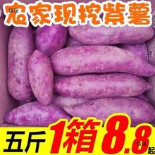 橙哥镖局 现挖新鲜紫薯2/3/5/9斤紫薯包邮产地直发 坏果包赔