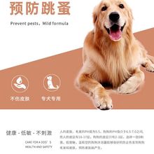 金毛犬专用狗狗沐浴露止痒除臭 成犬幼犬宠物狗用品洗澡香波