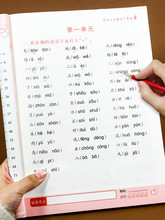 读音选择 一年级生字注音专项训练 小学生汉语拼音拼读练习本人教