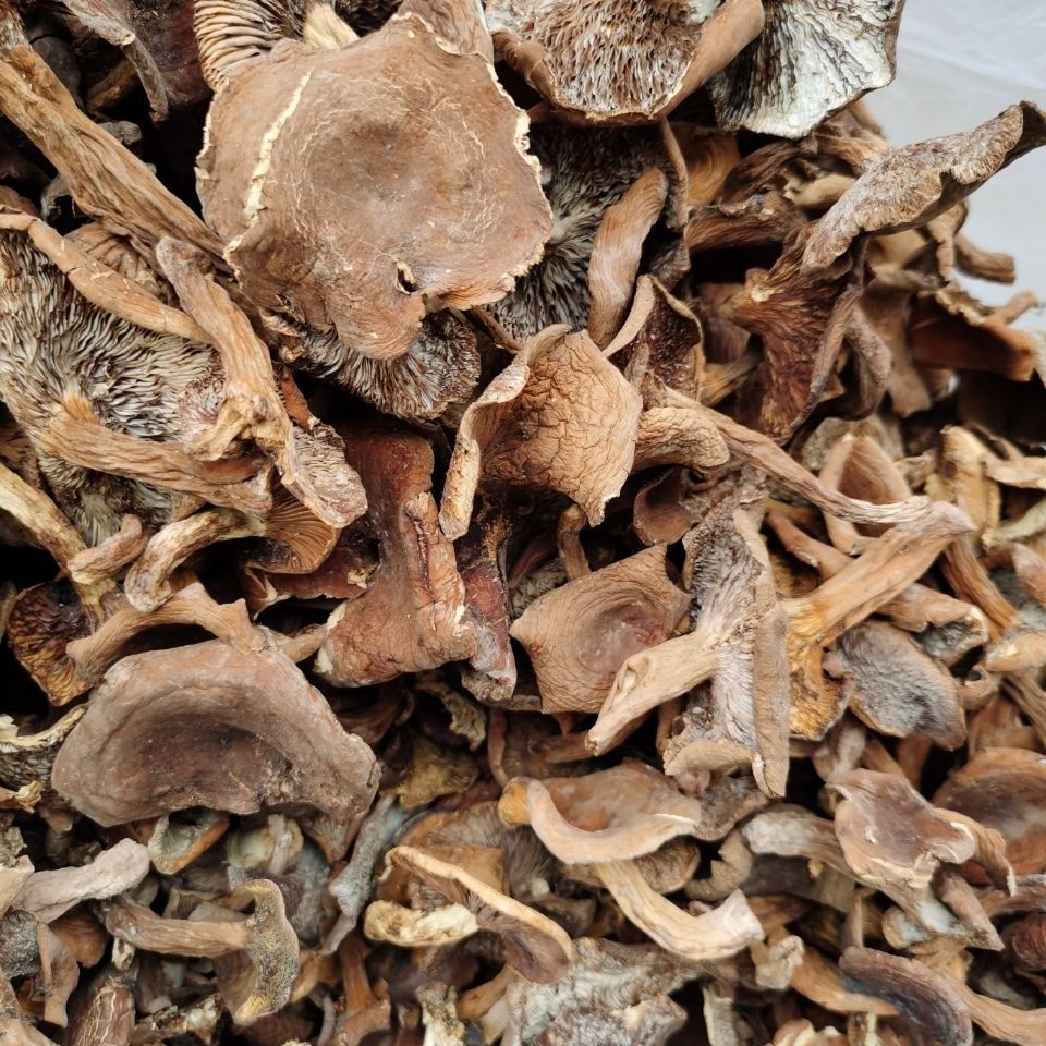 云南野生菌奶浆菌500g蘑菇菌包干香菇菌菇类煲汤干货山珍-阿里巴巴