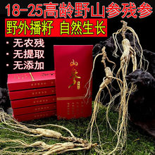 东北吉林长白山人参老参王枸杞泡酒专用瓶装整枝特大礼盒送礼高档