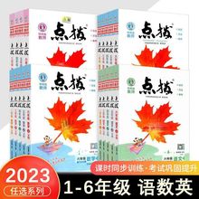 23版特教师点拨一二三四五六年级上下册自选语数英人教北师版