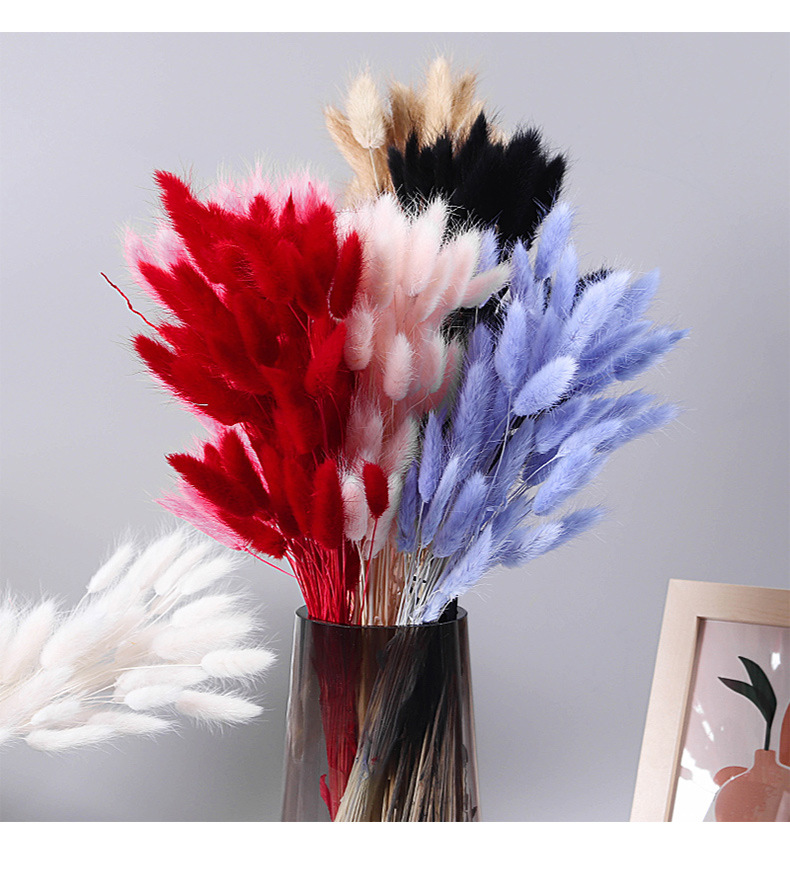 染色兔尾草干花狗尾巴草插花花束配材居家装饰永生花干花定制批发