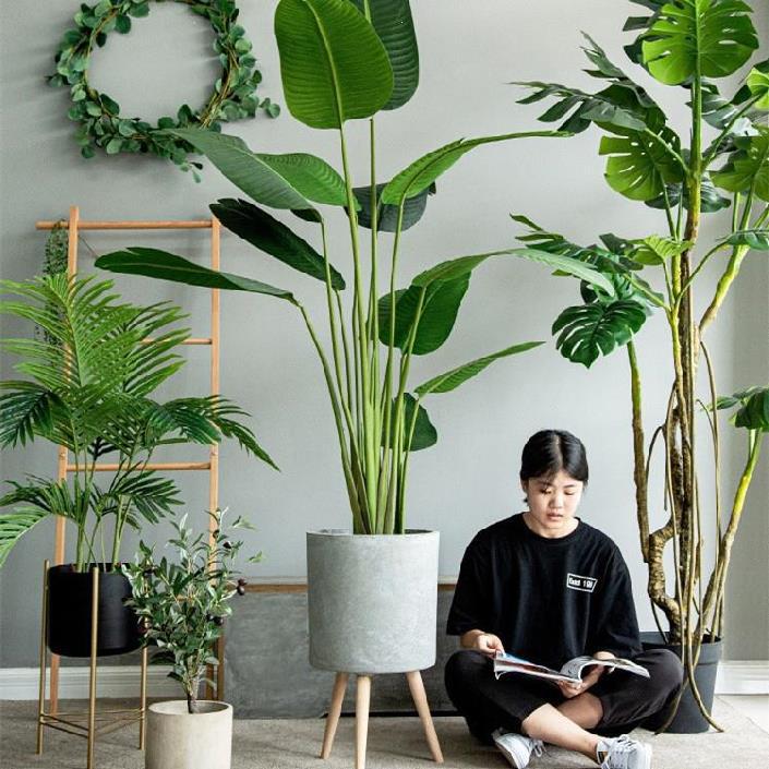女装店橱窗仿真绿植楼梯口装饰落地室内欧式花盆天堂鸟美人蕉新款档