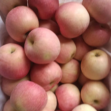 膜袋红富士苹果10斤整箱陕西红苹果3新鲜水果批发脆甜5山西丑苹果