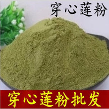 中药材粉川心莲粉 穿心莲中草药 穿心莲粉苦胆草四方莲穿心莲