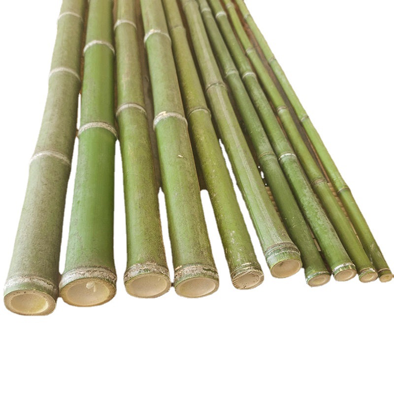 竹竿晾衣竿挂蚊帐杆旗杆细竹棍子竹条篱笆批发搭架菜