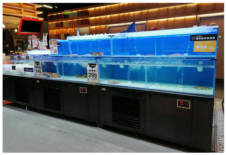 双层超市水产养殖商用海鲜贝类池制冷机一体饭店小型玻璃贝类鱼池