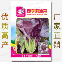 【6.5*8.8cm迷你包装】约120粒四季紫油菜种子 紫白菜 紫色小菘菜
