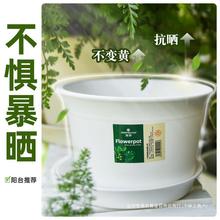 花盆塑料家用加厚透气底部树脂花盆复古蝴蝶兰控根盆月季户外盆栽