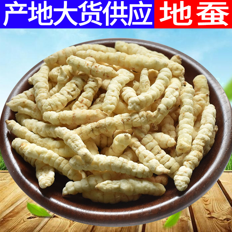 散装地蚕草石蚕白虫草虫草参地参中药材冷门药材地摊展会产品