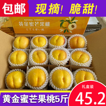 现摘黄心大油桃黄肉油桃酸甜脆油桃桃子新鲜油桃批发硬油桃黄油桃