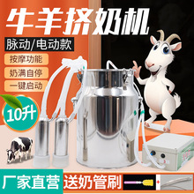 牛用挤奶机家用奶羊小型充电羊用挤奶器电动真空脉动奶牛挤奶机