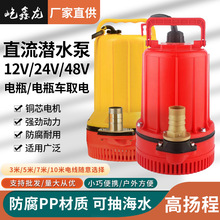 直流泵12v24v48v60v电瓶抽水泵浇地浇花浇菜耐腐蚀PP材质潜水泵