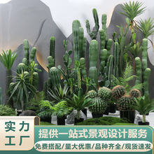 仿真仙人掌盆栽大型植物造景厂家直销仿真绿植小摆件组合仿真植物