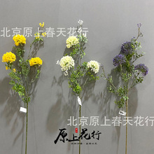 仿真菊花3头多色葱头秋菊仿真花假花绣球绢花酒店装饰路引花束