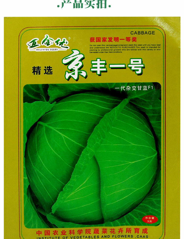 京丰一号杂交中熟扁平大甘蓝种子 四季蔬菜种子批发
