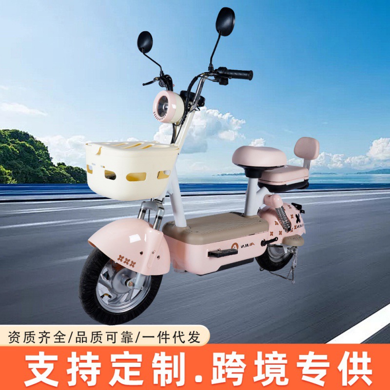 电动车外贸两轮电动车男女代步电瓶车新款新国标成人电瓶车电动车