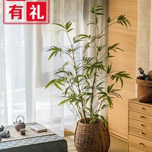 仿真绿植金葫芦竹大型植物盆栽侘寂风落地造景假绿植装饰摆件