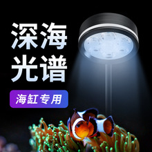 全光谱鱼缸海缸灯led水草小丑鱼珊瑚生长造景透镜三基色