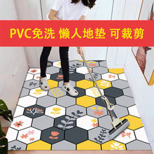 免洗PVC地毯地垫入户客厅进门垫门口鞋柜过道门厅玄关脚垫可裁剪