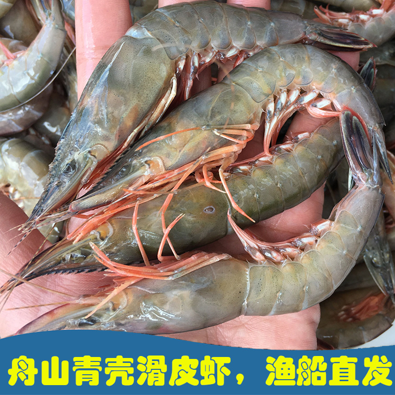 舟山野生新鲜大青壳滑皮虾活皮虾海虾海鲜1斤40个左右,3斤一份