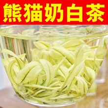 熊猫奶白茶【特级】2023新茶叶正宗高档手工奶香白茶黄金芽黄金叶