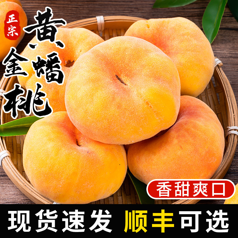 黄金蟠桃5斤新鲜应当季整箱黄肉彩虹毛油桃子扁纽扣盘桃水果礼盒