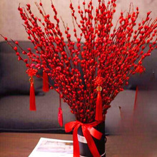 银柳真花鲜枝春节年宵花卉水培植物干花红色银柳客厅室内装.