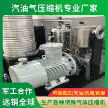 上海汽油气压缩机厂家高压气泵工业用防爆水润滑无油螺杆式空压机