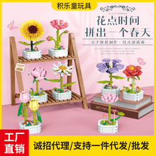 钻马芙蓉花朵积木兼容乐高玫瑰花束向日葵盆栽益智拼装玩具摆件