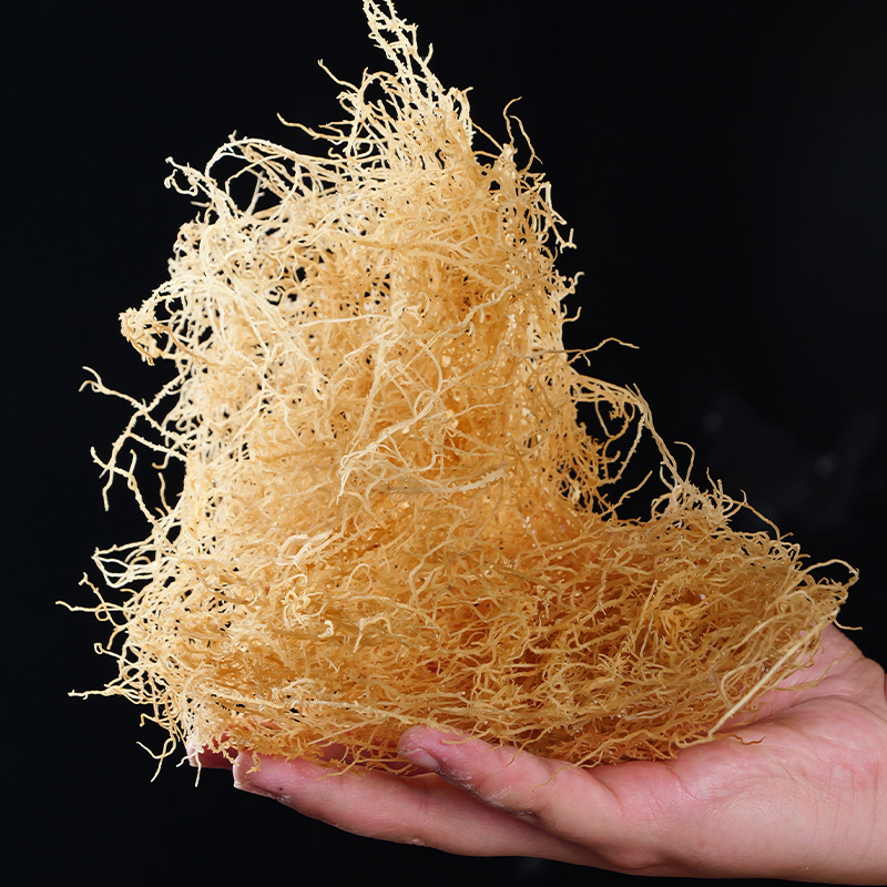淡干龙须菜干货饭店商用石花菜鹿角菜海藻珊瑚草海草丝凉拌菜食材
