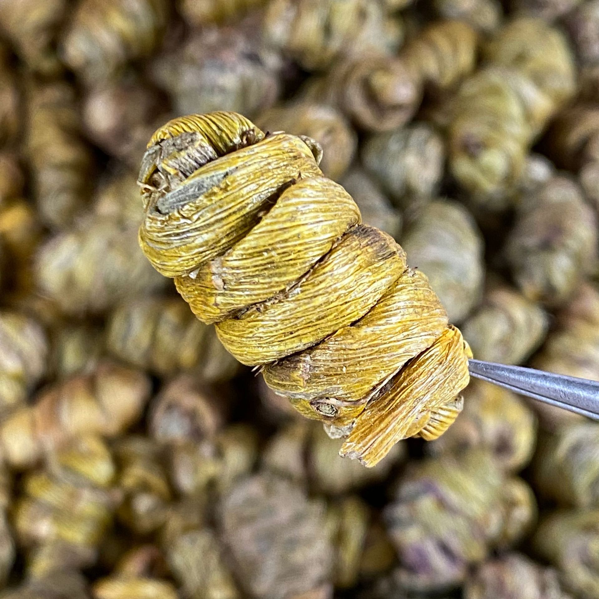 一手源头霍山铁皮石斛大号铁皮石斛大颗粒石斛支胶质好秋冬滋补