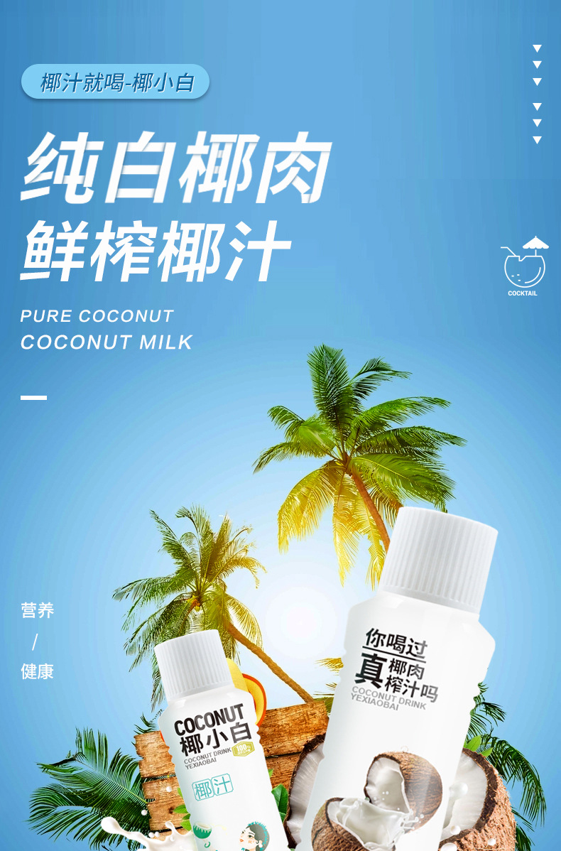 伊之伴椰小白450ml*20果肉椰子汁植物蛋白奶厂家鲜榨生榨椰汁饮料