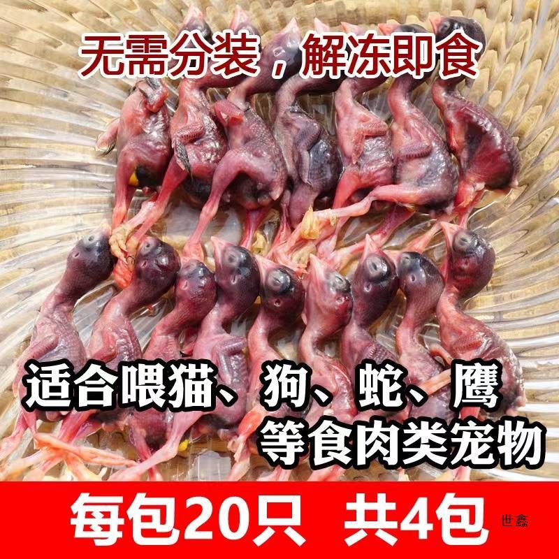 新鲜小鹌鹑肉冷冻鹌鹑幼仔雏鸟速冻肉类非冻干生骨肉宠物零食